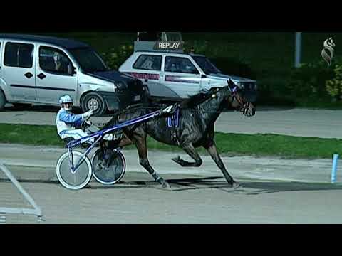 Aversa trotto 18 Novembre 2020 - 6° Corsa