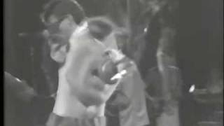 monochrome set - eine symphonie des grauens