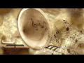 Duke Ellington - Haupe