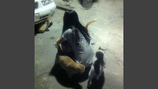 Cover art for here2stay