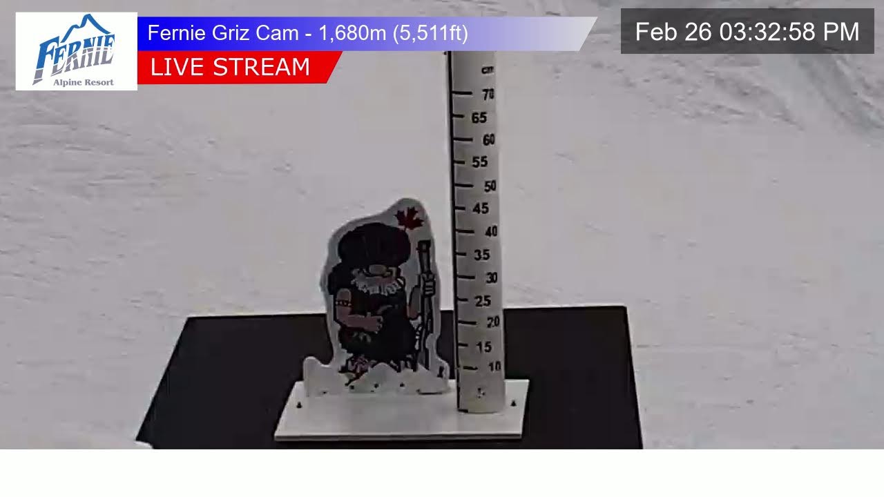 Griz Cam