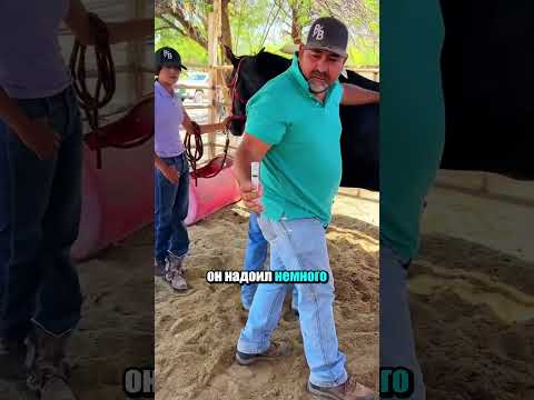 Лошадь отвергала своего малыша.