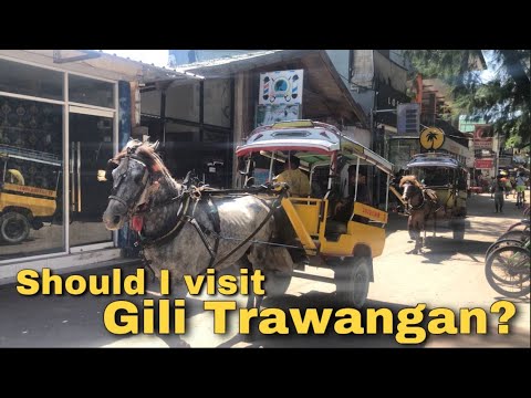 Should You Visit Gili Trawangan??? | Bali Vlog #3