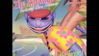 The Rippingtons - Life In The Tropics