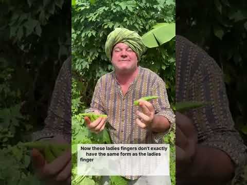 Exploring Burmese Okra: A Visual Journey by Rohith Reddy