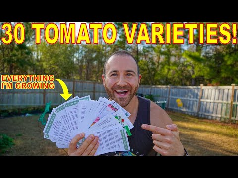 , title : 'Every Tomato Variety I'm Growing: The MOST HELPFUL TOMATO GUIDE Online'