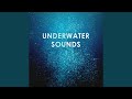 Underwater Sounds Diving Into Sleep And Detente ASMR
