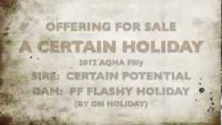 preview picture of video 'A Certain Holiday'