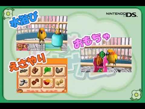 おしゃべりオウム