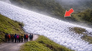 Download lagu 75 Most Incredible Nature Moments Ever Caught on Camera mp3 Download lagu 75 Most Incredible Nature Moments Ever Caught on Camera mp3