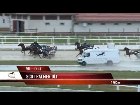 2018.03.31 7 futam Ügető