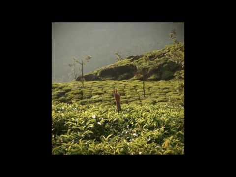 Pok - Kõrgklassi täht (feat. Epp Kõiv)