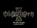 Bloodthorn - Sacrificial slaughter (Live in Trondheim Samfundet 2007)