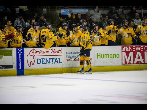 Norfolk Admirals @ Maine Mariners | FULL HIGHLIGHTS | 3.10.23