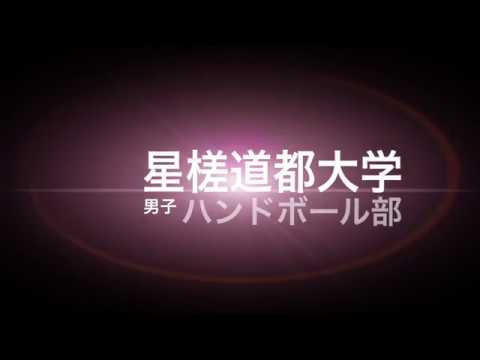 建築学科 星槎道都大学 男子 ハンドボール部