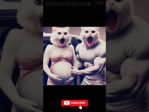 ||Preagnent cat😺😺😺😺😺😺😺😺😺😺😺😺😺😺😺😺😺#entertainment #surajrox#cartoon#comedy#||