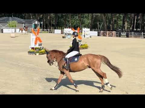 Showvideo 2