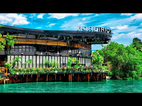 download lagu mp3 mp4 Porfirios Cancun, download lagu Porfirios Cancun gratis, unduh video klip Porfirios Cancun