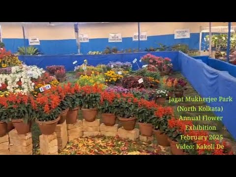 Jagat Mukherjee Park (North Kolkata) Annual Flower Exhibition February 2025 #flowershow