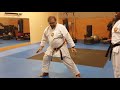 Japanese Cat Stance Stance Vs Okinawan Cat Stance