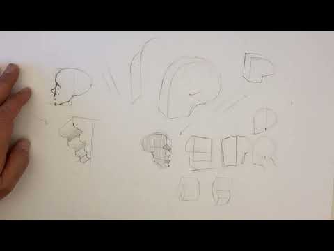 Drawing faces, skulls, fat pads