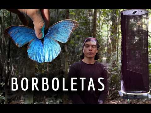 Programa MONITORA: Monitoramento de Borboletas Frugívoras