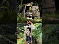 Somebody Once Told Me Meme Ryan Trahen Vs Shrek Original Viral Fypシ