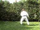 Tae Kwon Mistake!
