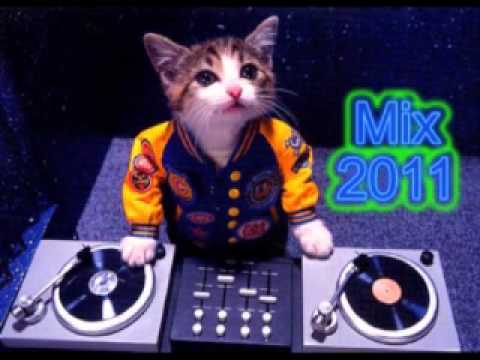 Hits Mix 2011