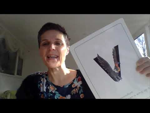 Mrs Smirnova teaches phonics: Phase 4 and recap 'v'.