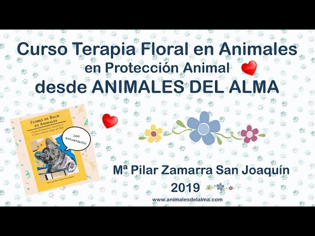 Vídeo relacionado con Manual Flores de Bach: Incluye relación con los chacras y remedios para animales domésticos