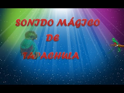 Sonido Mágico De Hugo Morales - Ilusiones (en vivo)