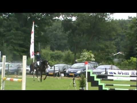 Carmauxgraaf (V. Quasimodo Z) Zuidwolde 5 jarigen