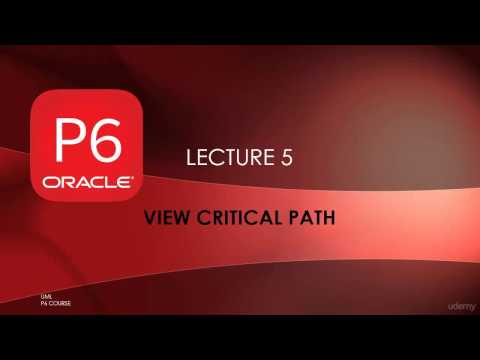 Critical Path in P6