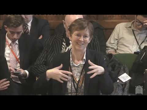 Select Committee - Levelling Up Housing & Communities  - Children & the built environment 25/03/2024