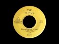 The Intros - Shakedown