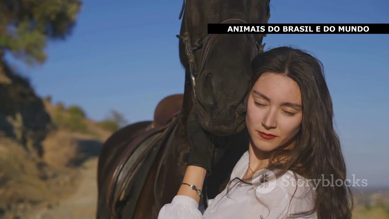 Cavalos - Beleza, História e Importância no Mundo