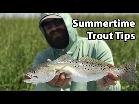 Summertime Trout: Best Spots, Lures, And More