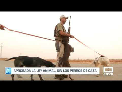 Aprobada en el Congreso la Ley de Bienestar Animal