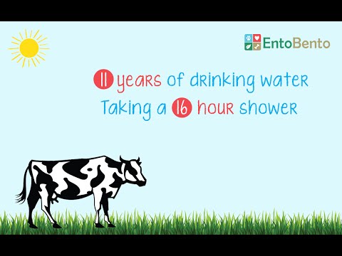 download lagu mp3 mp4 How Much Water Does Meat Production Use, download lagu How Much Water Does Meat Production Use gratis, unduh video klip How Much Water Does Meat Production Use