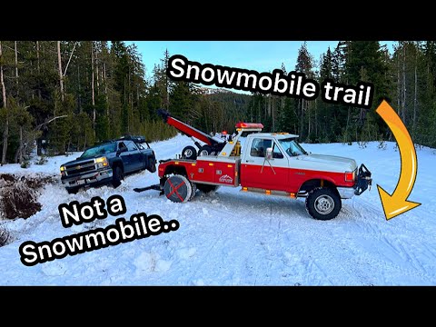 Chi ha lasciato il cancello aperto?