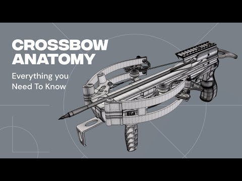 Crossbow Anatomy (Ballista Bat) Everything you Need To Know