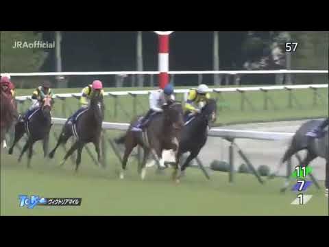 ヴィクトリアマイル2019