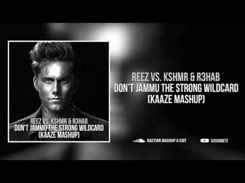 REEZ vs KSHMR & R3hab - Don't Jammu The Strong Wildcard (KAAZE Mashup)