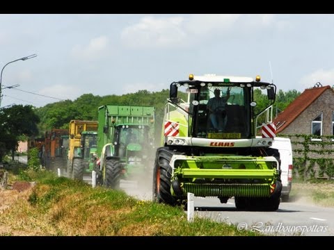 Claas Jaguar 960 gras hakselen 2013 - Verduyn uit Werken