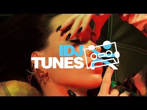 NIKOLIJA - STO MI RADI TO (OFFICIAL VIDEO)