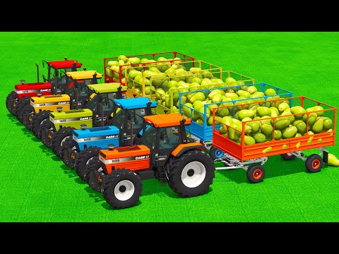 LOAD AND TRANSPORT PEARS WITH CASE TRACTORS & CLAAS LOADERS - Farming Simulator 25