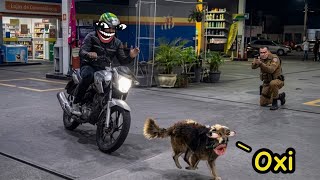 Os Motoca Brincam muito kkkk - MEMES POLICIAIS