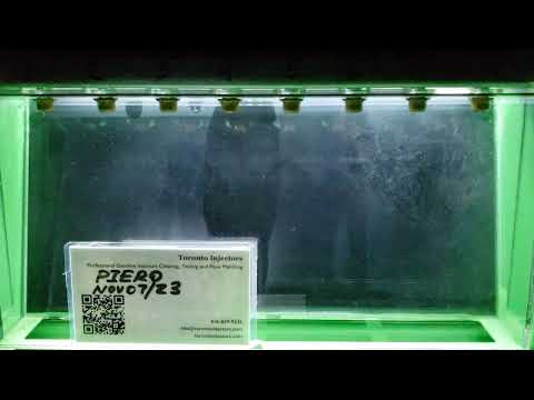 1998 Ferrari 550M 162613 injectors spray pattern test at Toronto Injectors Bank 1