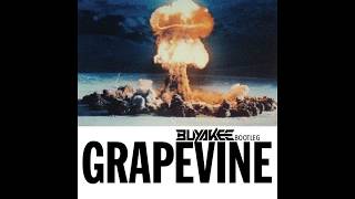 Tiësto - Grapevine (Buyakee Bootleg)